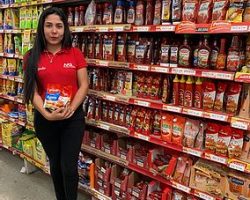 Desenvolvimento PDV - Paraguai